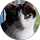 Tim Jacobe profile picture